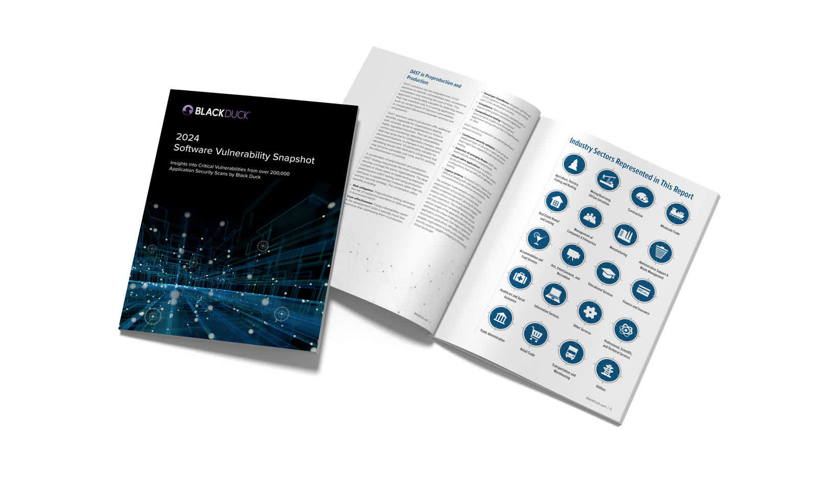 software-vulnerability-snapshot-cover