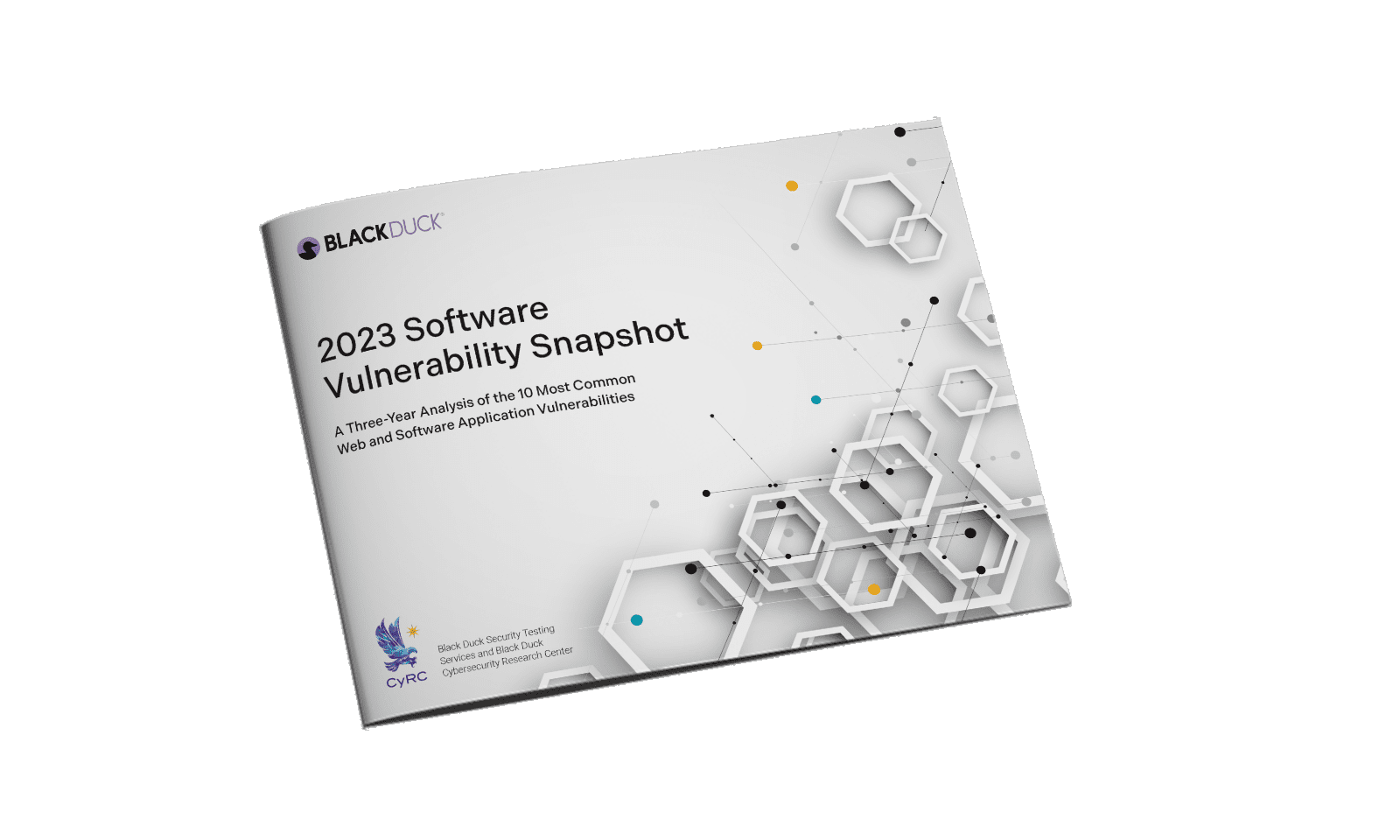 software-vulnerability-snapshot-report-1600x960