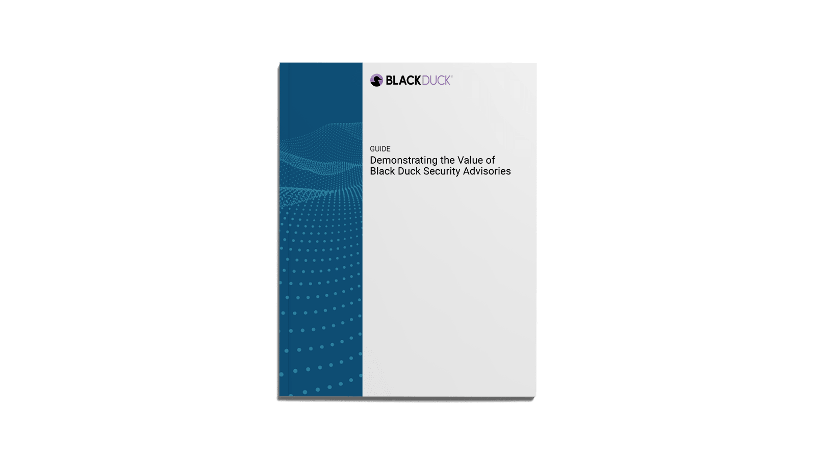 bdsa-guide-cover