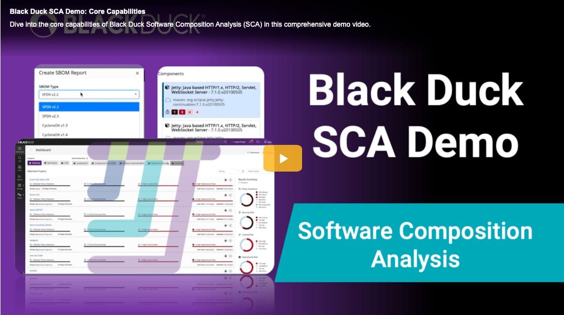 Black Duck SCA Image