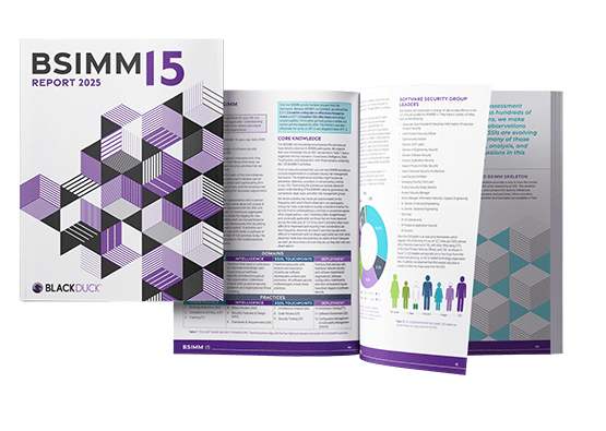 bsimm-report-cover