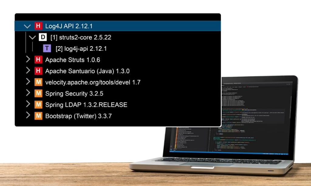 Code Sight Image
