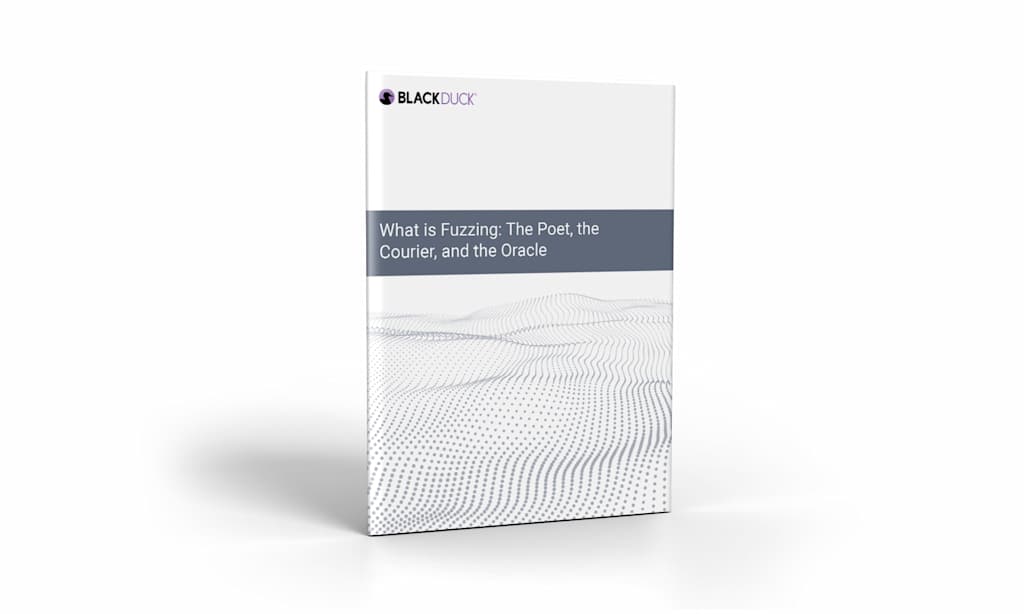 whatisfuzzing2